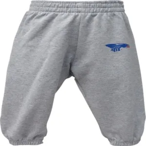 Power Dragon Infant/Toddler Sweatpant